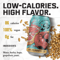 Jab Jab Grapefruit IPA